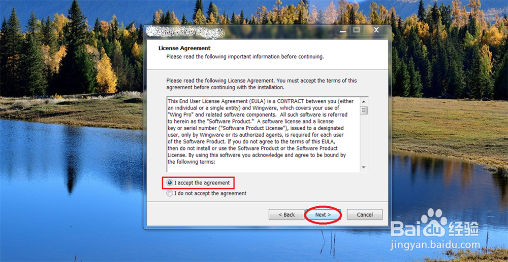 windows上 安装 wingware 教程