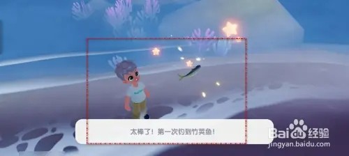 心动小镇如何钓到竹荚鱼