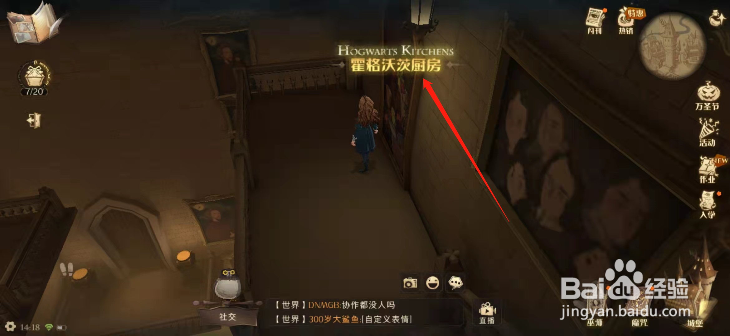 哈利波特魔法觉醒厨房在哪里