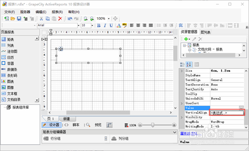 ActiveReports 报表设计器设计不同报表：脚本