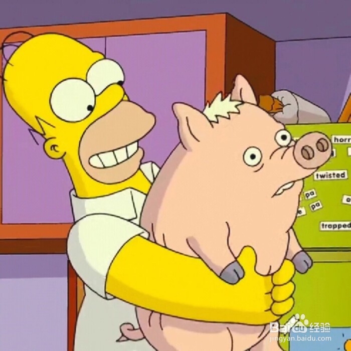 国内义工旅行民宿青年旅舍攻略2