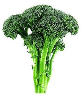 女性怎样在初冬进行保健？