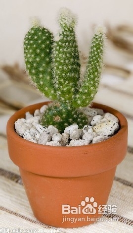 孕期电脑工作者怎么保护眼睛