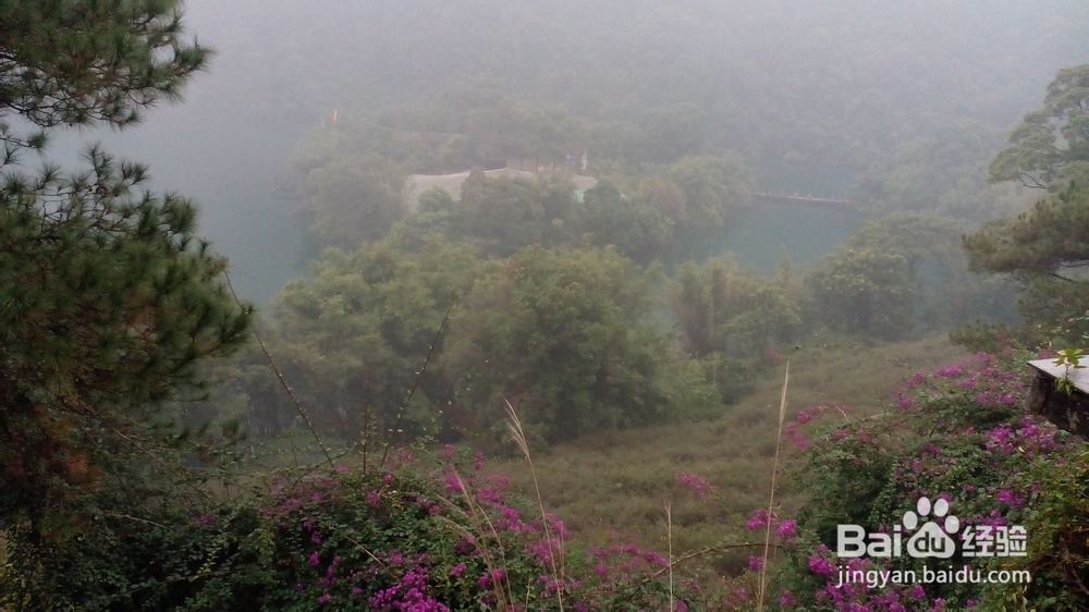 肇庆鼎湖山游记