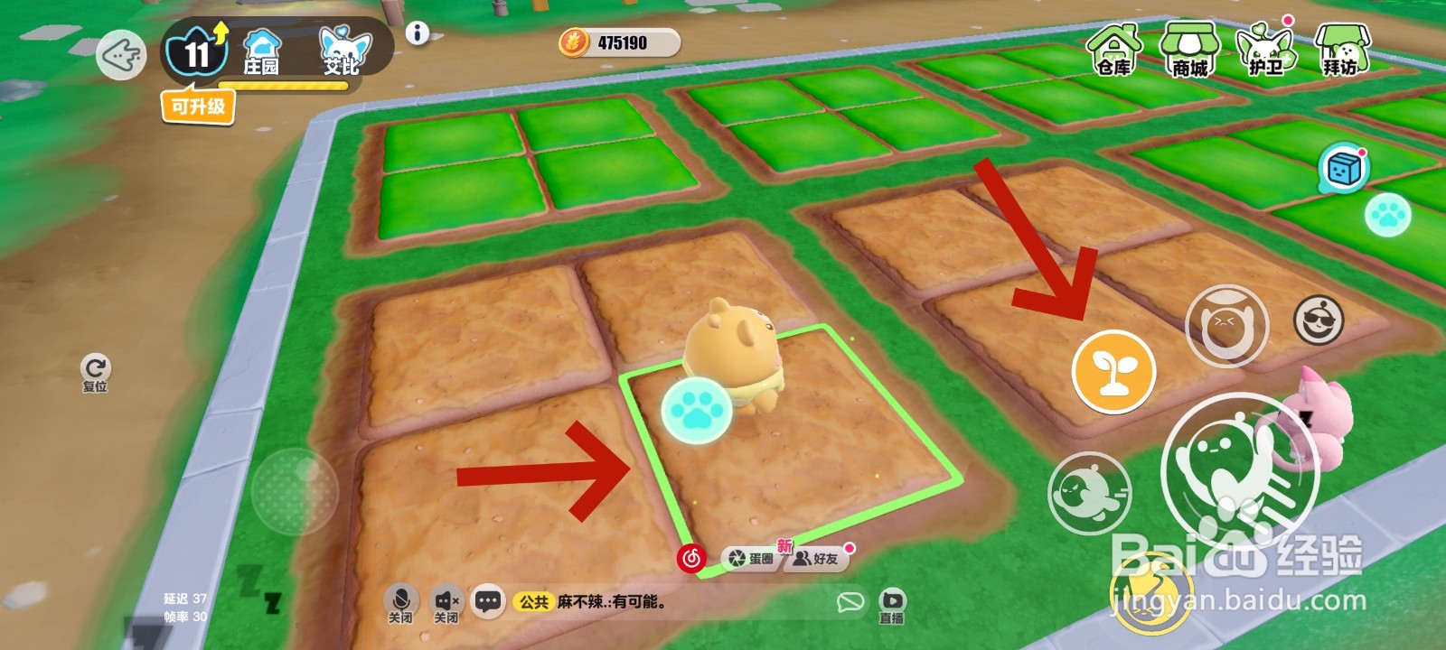 蛋仔派对游戏中怎么种白萝卜