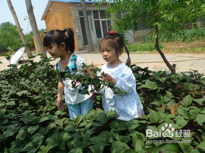 端午假期第二天