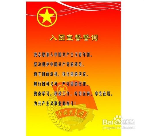 入团的基本程序