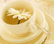 高血压十款药茶专属为你