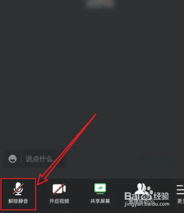 腾讯会议观众如何确定是否静音