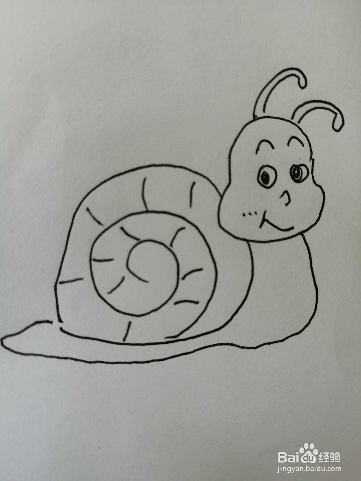 可爱的小蜗牛怎么画