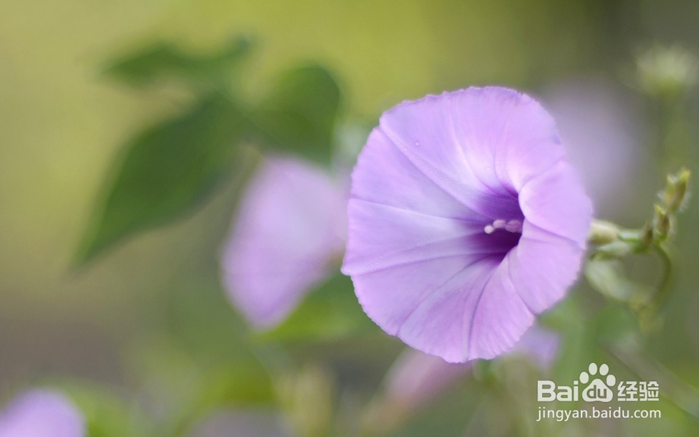 手腕腱鞘炎治疗方法