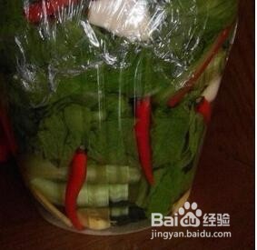 青菜做酸菜怎么做