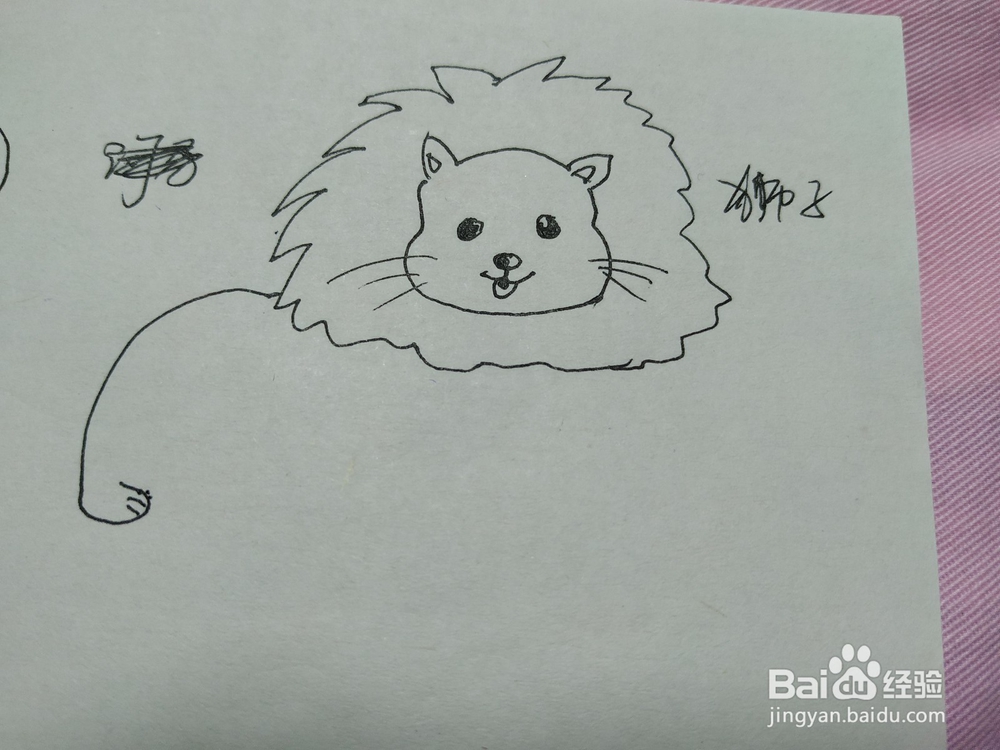 卡通狮子简笔画画法步骤分享
