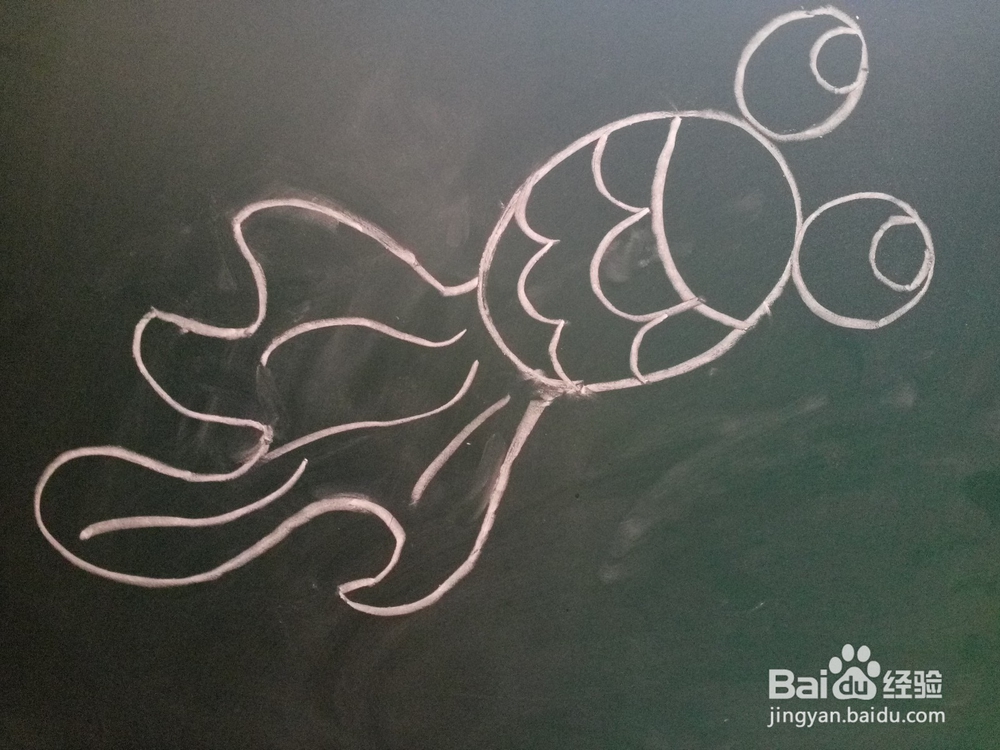 小金鱼的画法