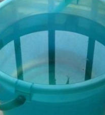 怎样水养桃花