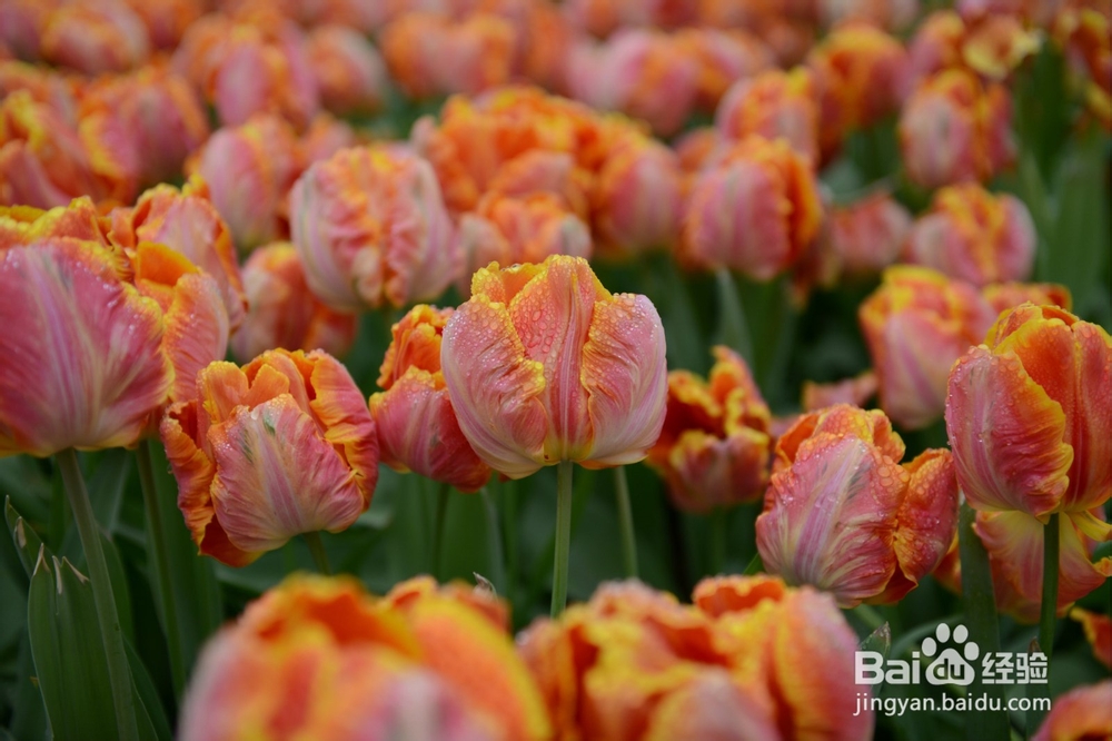 云南那些我们不熟知的美景