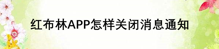 红布林APP怎样关闭消息通知