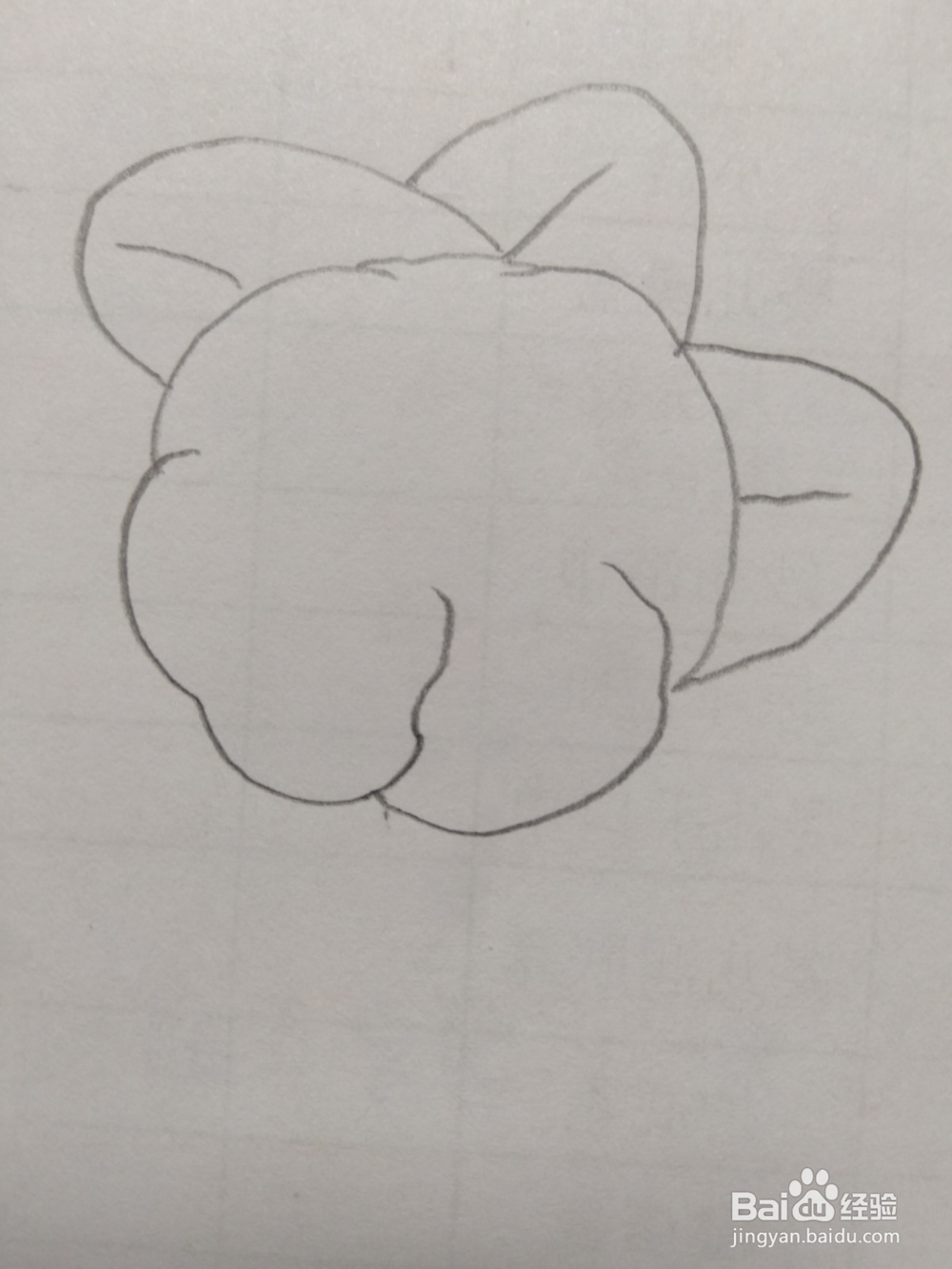 简笔画菜花画法2