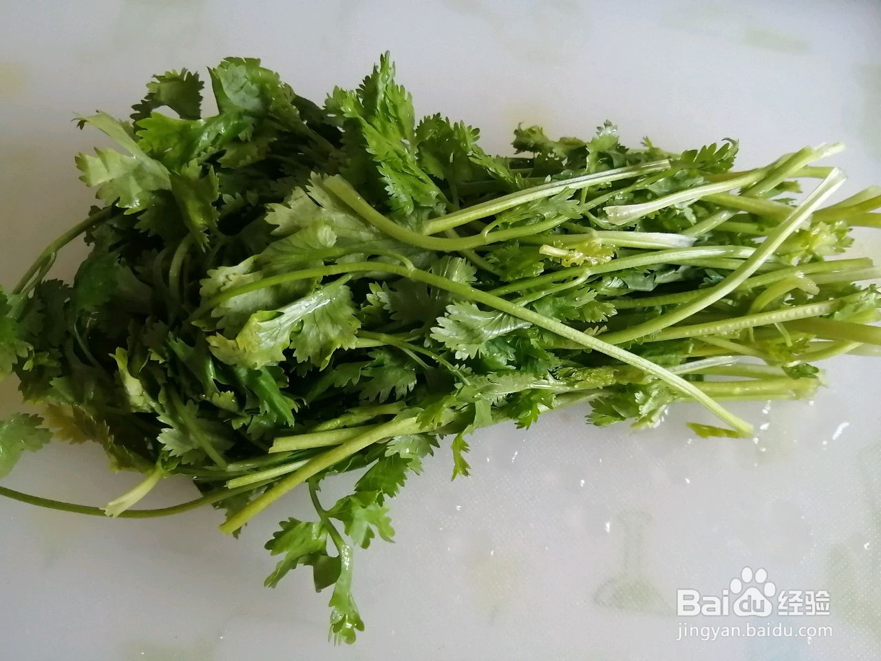 酱汁香菜拌粉丝的做法