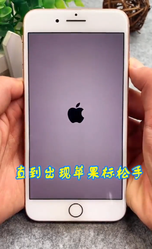 iPhone死机了怎么强制重启
