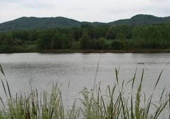 学习游泳应该注意的地方