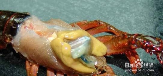 如何选择挑选小龙虾