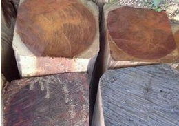 紫檀木鉴别方法(图解)