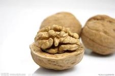 核桃的营养与功用