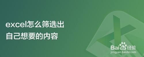 excel怎么筛选出自己想要的内容
