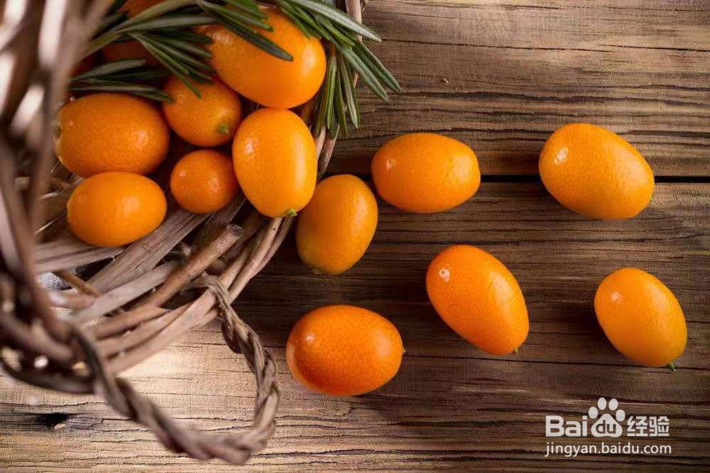 怎么挑选新鲜金桔?