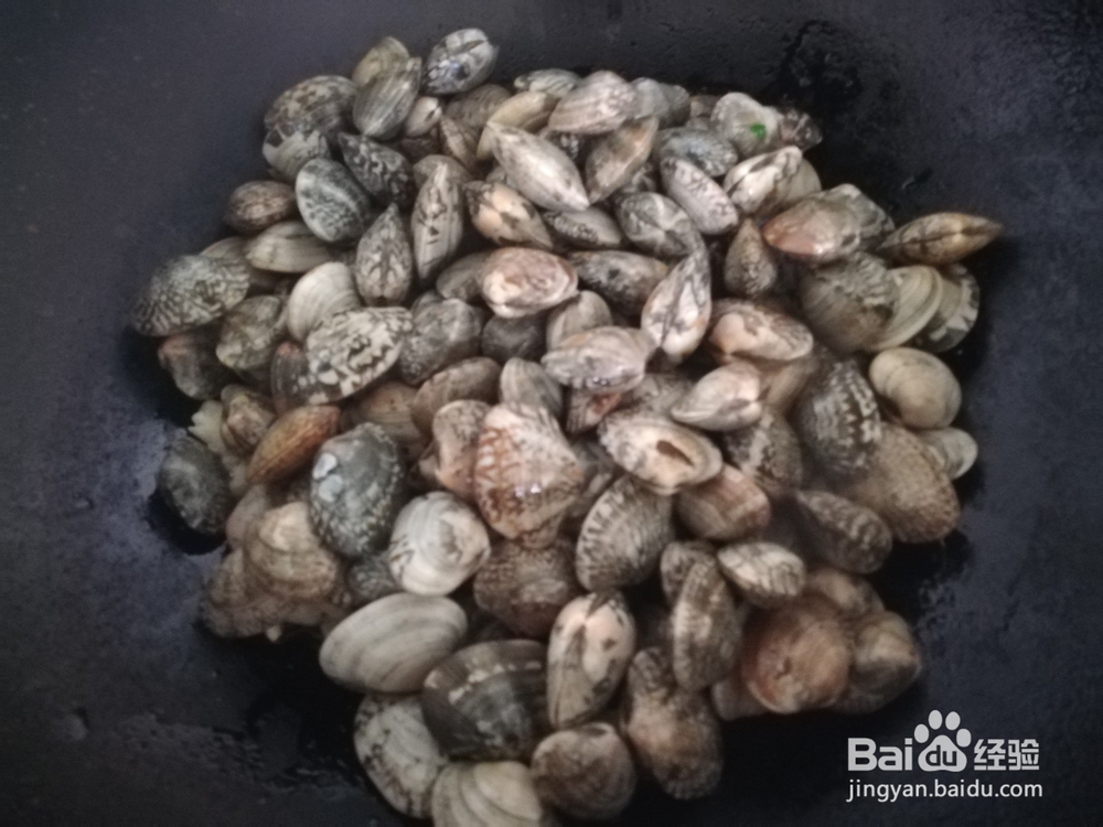 如何做出最鲜嫩的花蛤