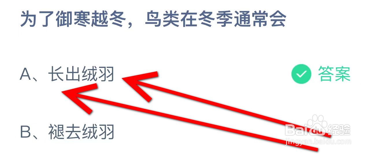为了御寒越冬,鸟类在冬季通常会