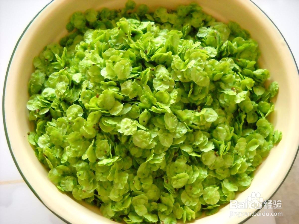 在农村你会做蒸榆钱吗，看图学做一定很好吃