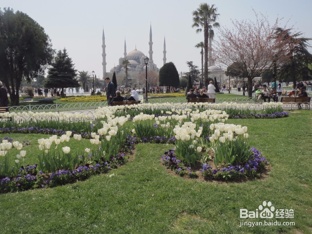 人生终要有一场触及灵魂的旅行