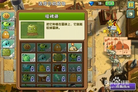 植物大战僵尸2：神秘埃及第9天