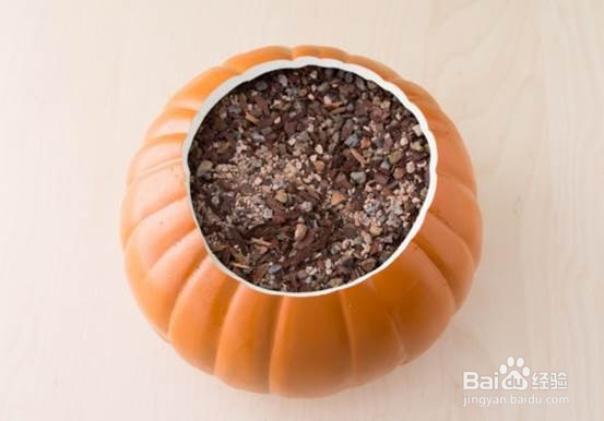 试试把多肉种到不用的工艺南瓜里