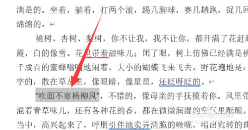 word怎么给部分文字添加边框