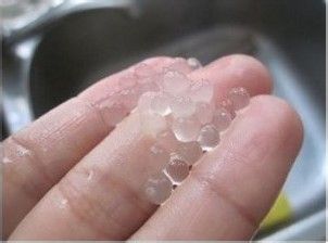 夏日经典甜品---芒果西米露