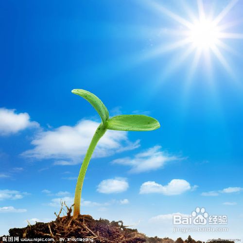 脸上过敏怎么办!