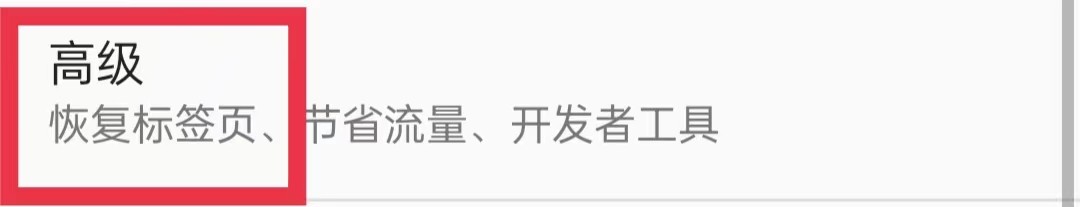 蚂蚁浏览器开启显示网络字体功能