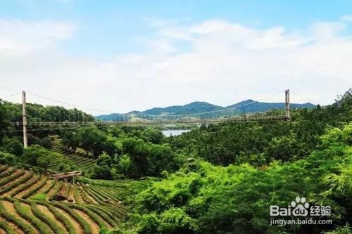 马峦山小梅沙茶溪谷攻略