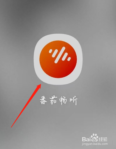 番茄畅听查看收听偏好