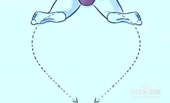 蛙泳动作要领分析