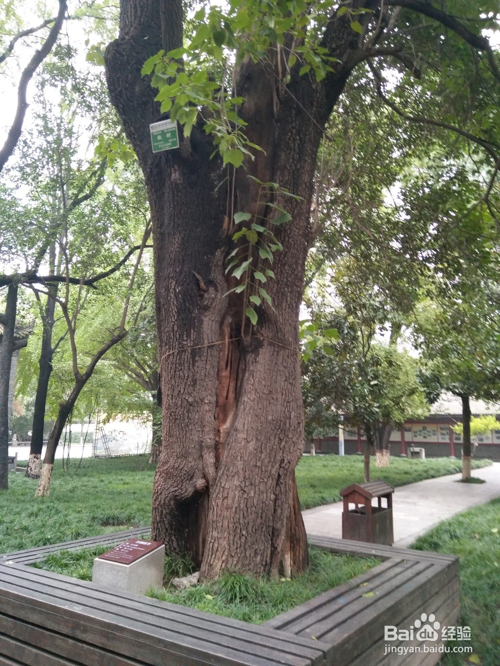 西安博物院旅游攻略！