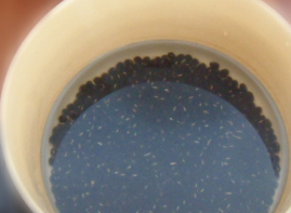 自己做黑豆纳豆