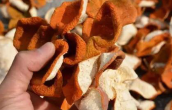 宝宝出生时保存新会陈皮，待女儿出嫁做嫁妆