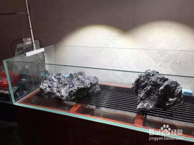 1.2米鱼缸造景教程