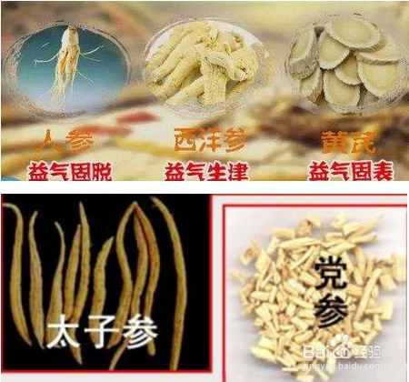 气虚体质的特征、表现及调养方法