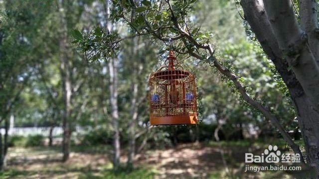 小米最令人失望的4款手机产品,米粉们同意吗