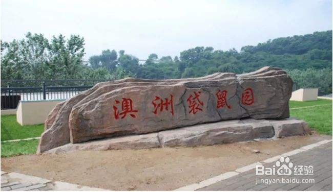 大连森林动物园攻略